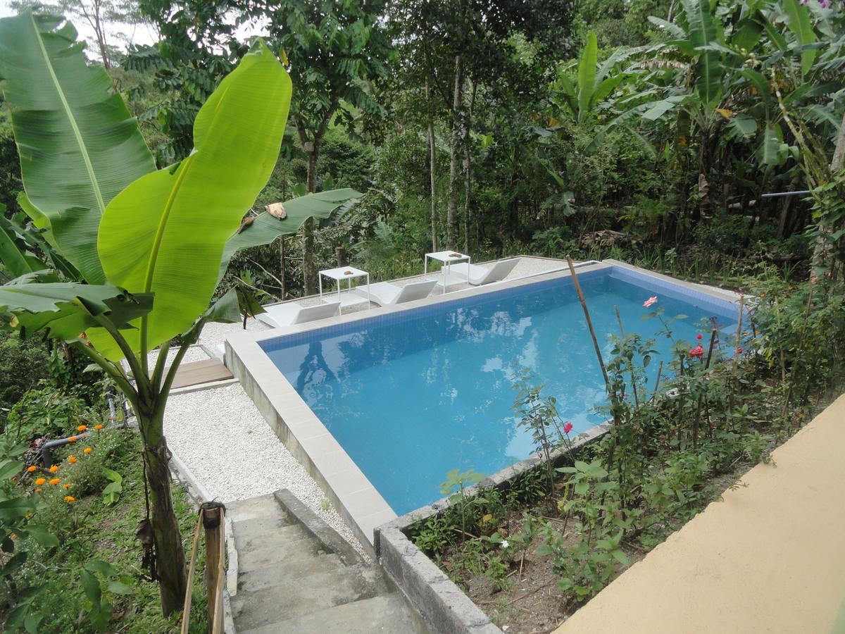 Putu Yoga Bungalow Ubud Esterno foto